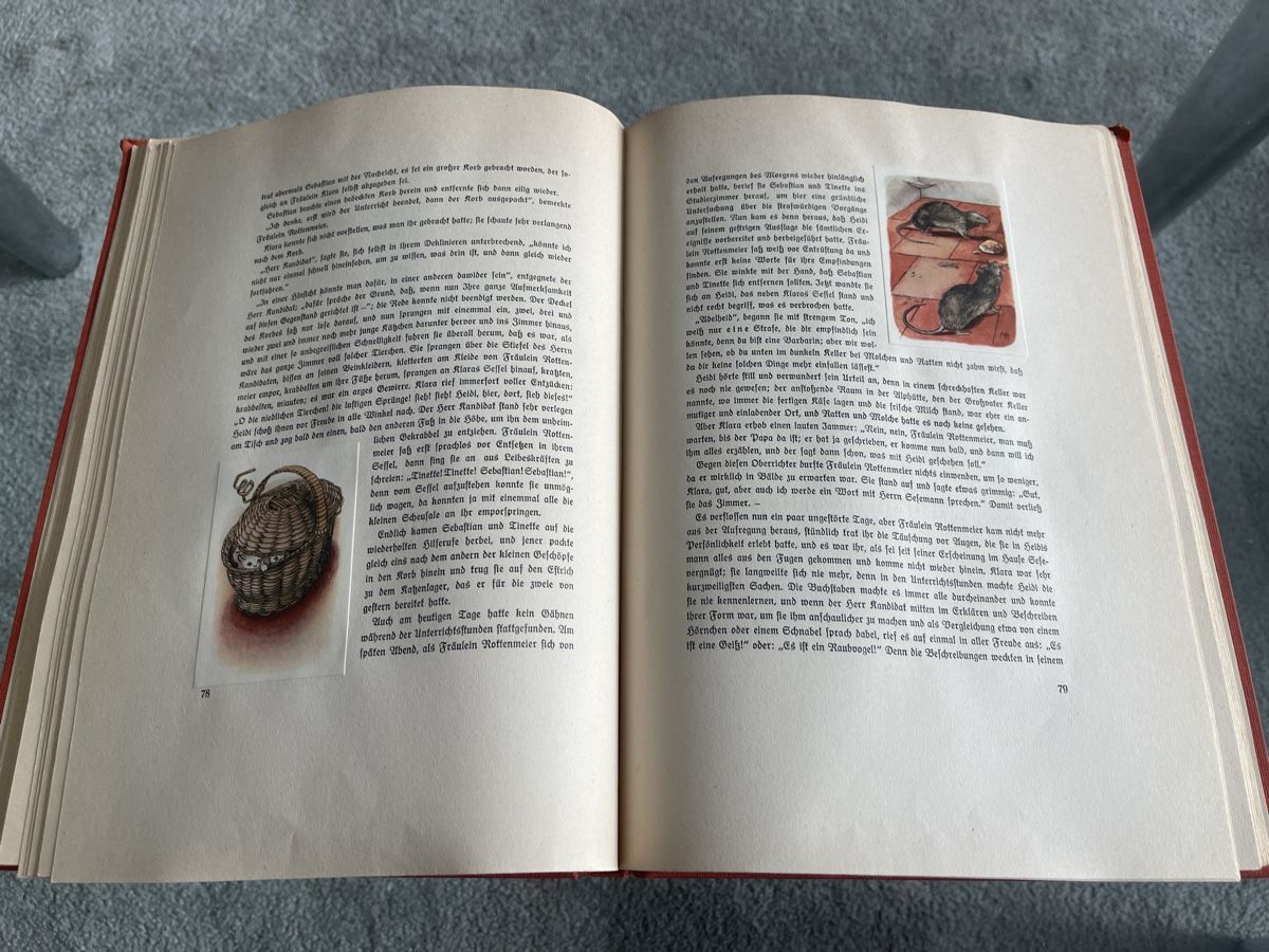 Libri: Buch Heidi Antik – Usato da Unterkulm venduto da AnoliOccasion 1