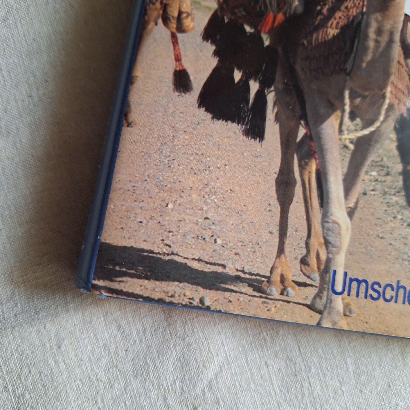 Libri: Weihrauchstrasse Kaster, Handelswege Orient – Usato da Winterthur venduto da Goldpipau 1