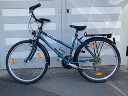 Velo Scott Mohaka