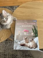 Glück mit Katzen zu wohnen Buch