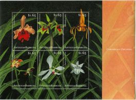 Block "Orchideen". Antigua und Barbuda.