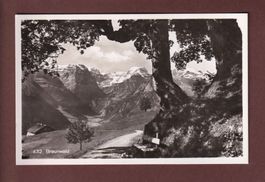 BRAUNWALD