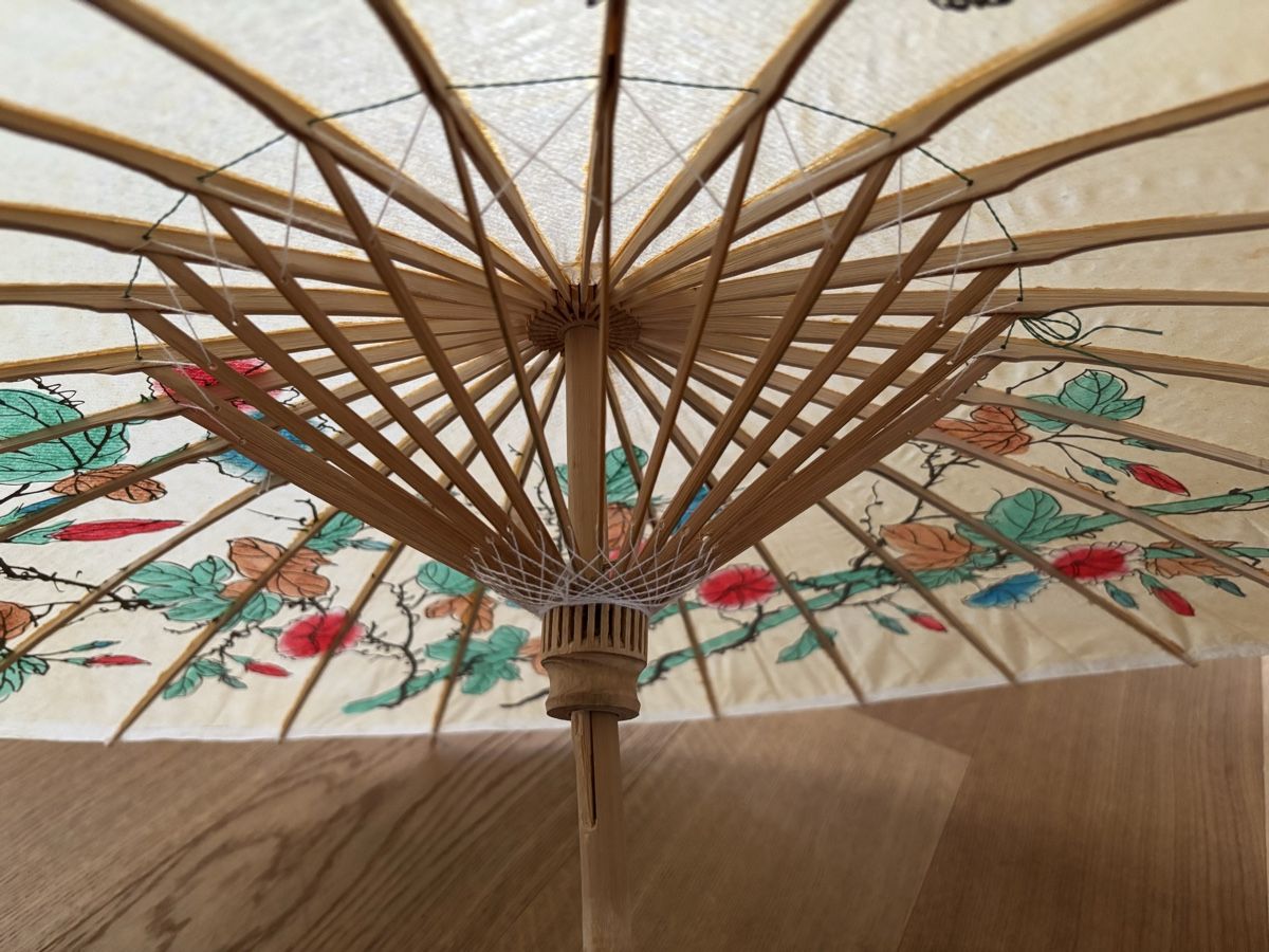 Ombrelloni: Papier Sonnenschirm – Usato da Würenlos venduto da Ashley24 3