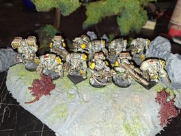 Warhammer 40k Space Marines - 11 Terminators, bemalt