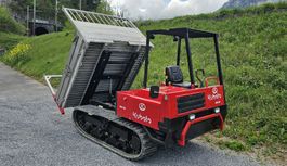 Kubota RG 30 Raupendumper (Dumper, Bagger, Kompaktlader)