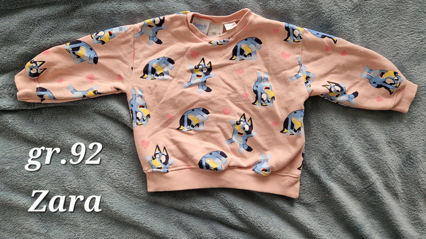 Zara Maglioni & Felpe: Pullover grösse 92 Bluey – Usato da Heimberg venduto da Eleanor20