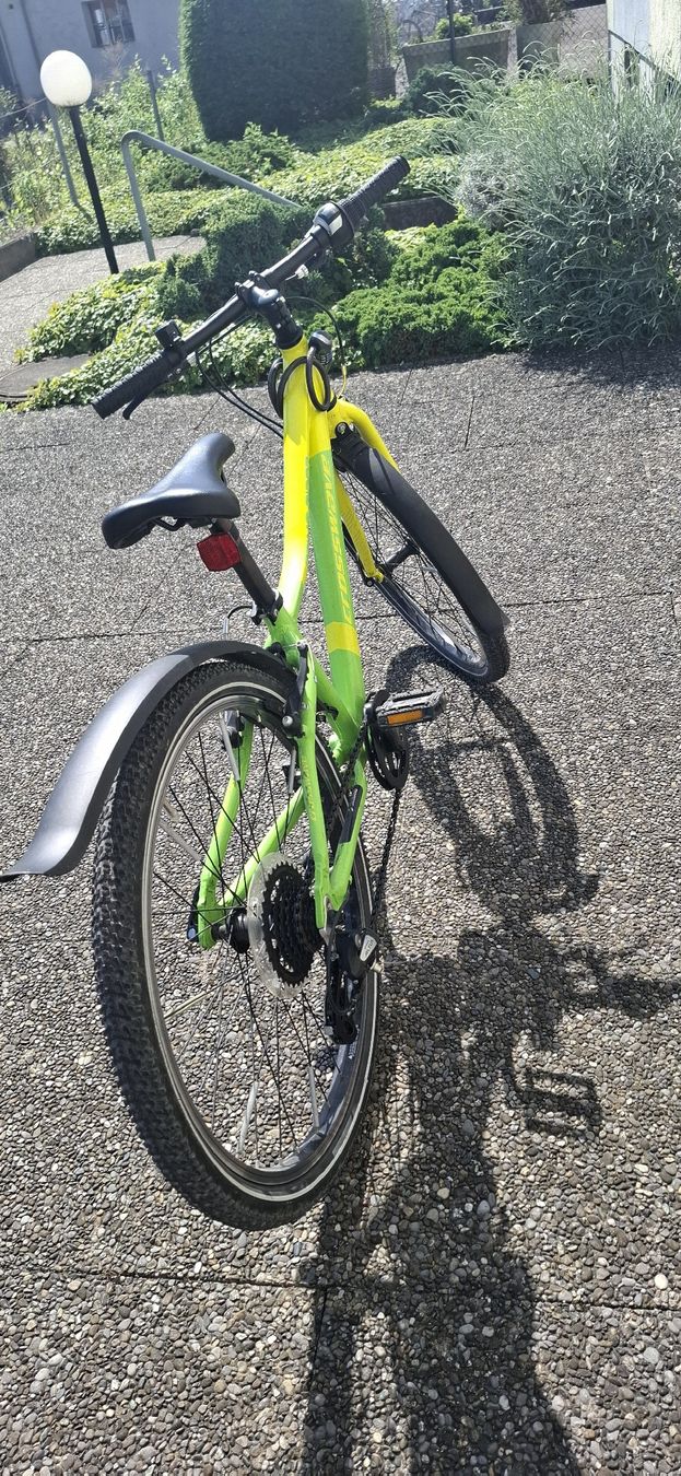 Crosswave Biciclette: Croswave Kinder Velo 24 Zoll – Usato da Thun venduto da lede 2