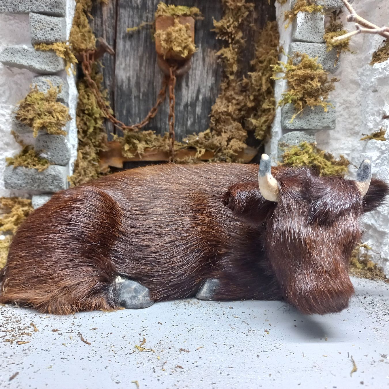 Figurines: Ochse für Schwarzenberger Krippenfiguren – D'occasion à Lachen SZ par jimmygoal13 5