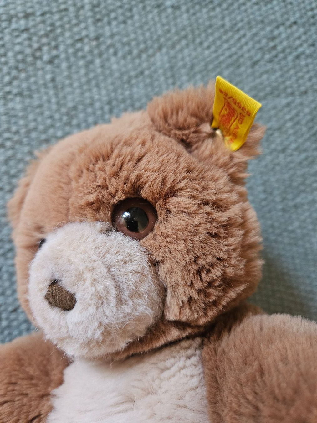 Steiff Spielzeuge: Kuschliger Steiff Teddybär – Gebraucht aus Rifferswil von fle_5nqr 1