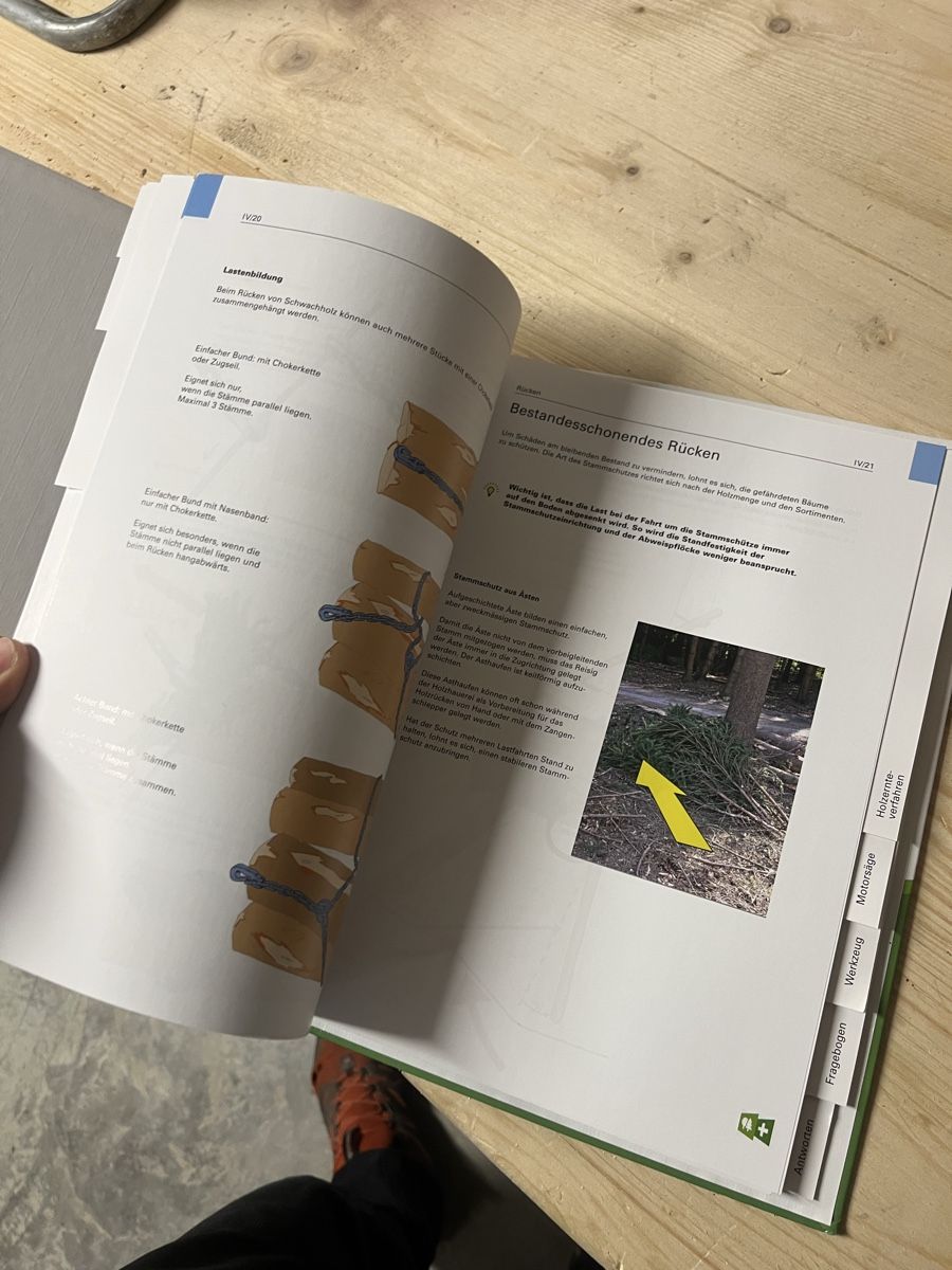 Libri: Die Holzernte Grundlage Ordner 2019 – Usato da Adelboden venduto da Fuhrer9394 2