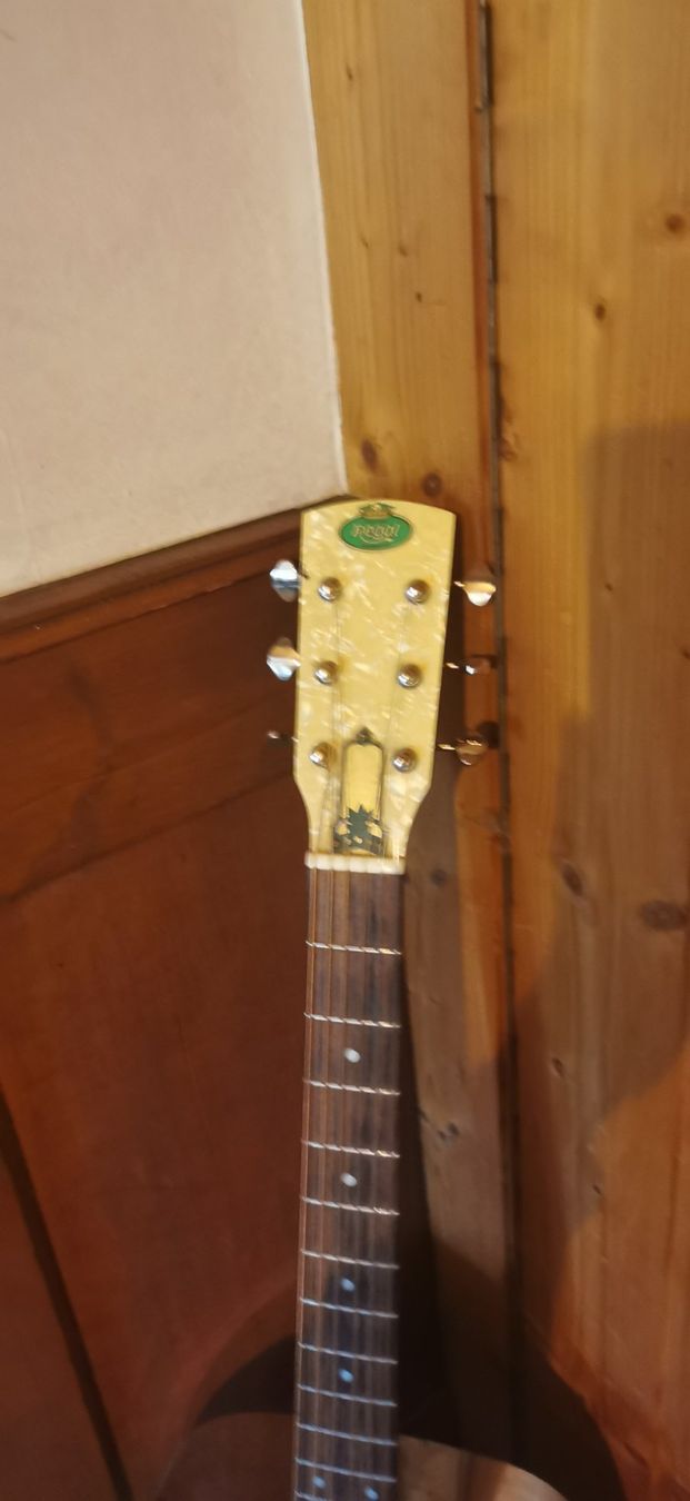 Strumenti musicali: Regal RC-1 Resonator guitar / dobro – Usato da Lajoux JU venduto da romaingogniat 1