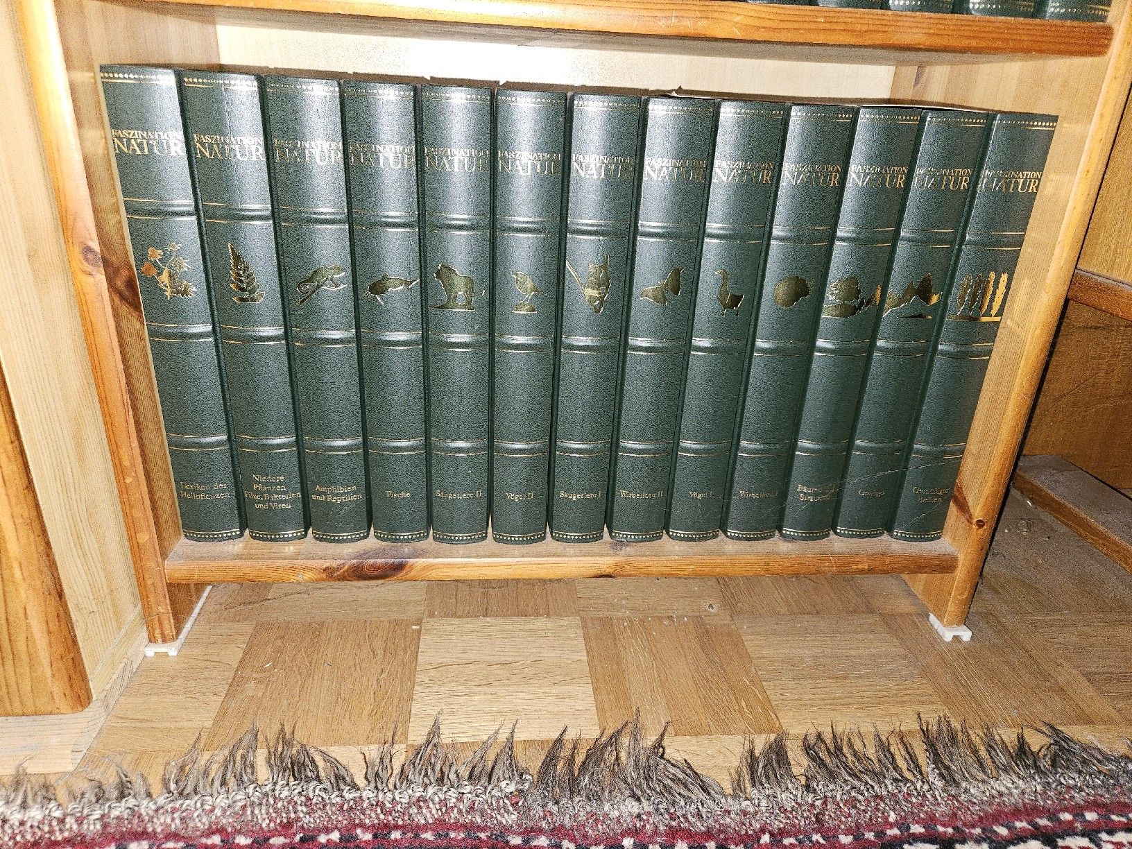 Libri: Komplette Bertelsmann sammlung  – Nuovo (secondo la descrizione) da ZÜRICH venduto da Angelo85 1