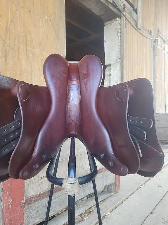 Selle & Accessori: Prestige Vielseitigkeitssattel 17" 32 – Usato da Bolligen venduto da AndyBern 3