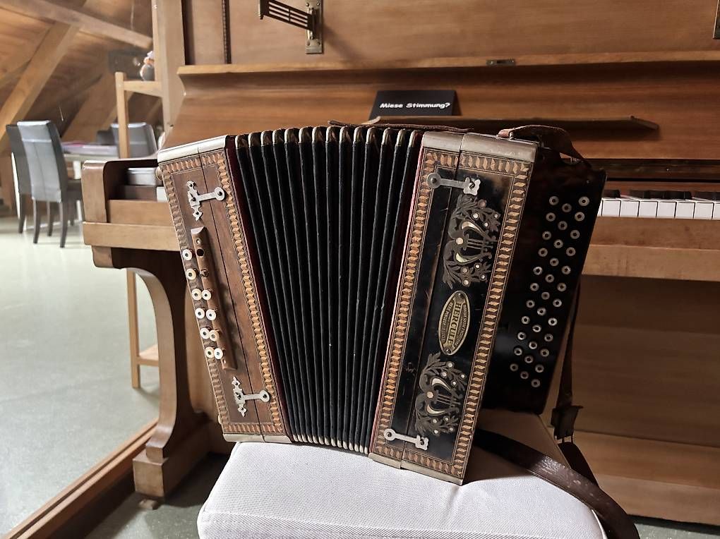 Musikinstrumente: Antike Handharmonika  – Defekt aus Zollikofen von luc_f5mb 2
