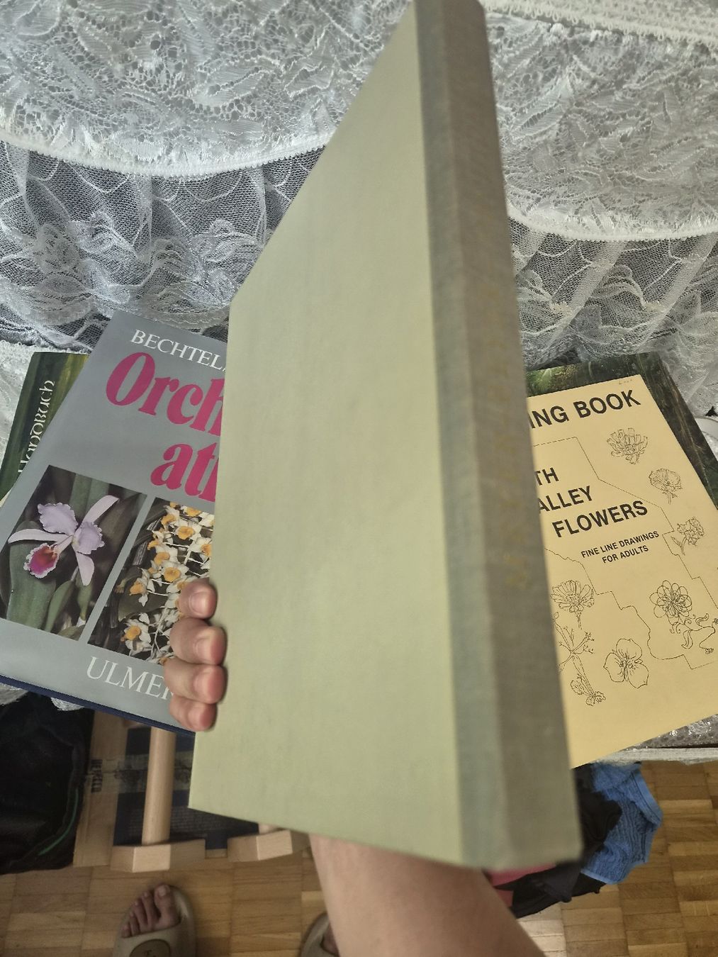 Libri: Orchideen Buch Meyer-Beyer guter Zustand – Nuovo (secondo la descrizione) da Bassersdorf venduto da Sport_4_life 2