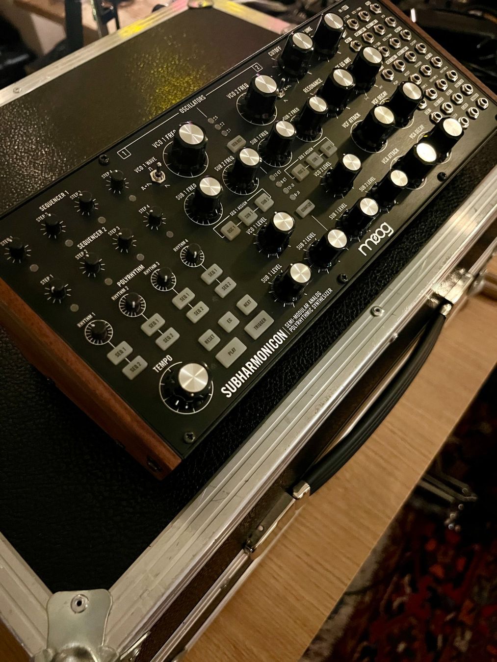 Moog Strumenti musicali: Moog Subharmonicon – Usato da Zürich venduto da shridl 2