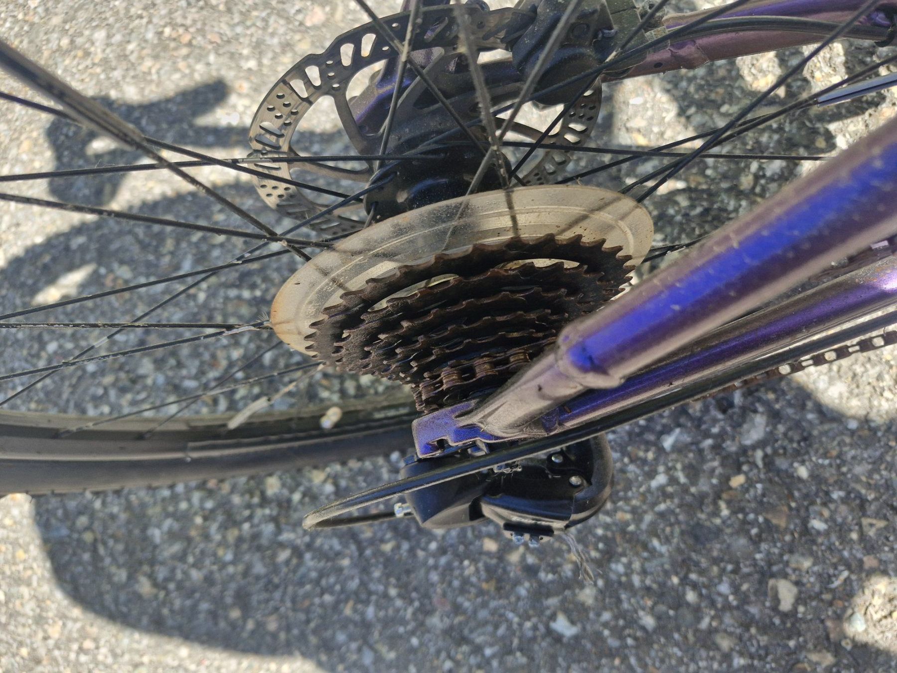 Trek Biciclette: Trek Bike – Usato da Muotathal venduto da DS81 3