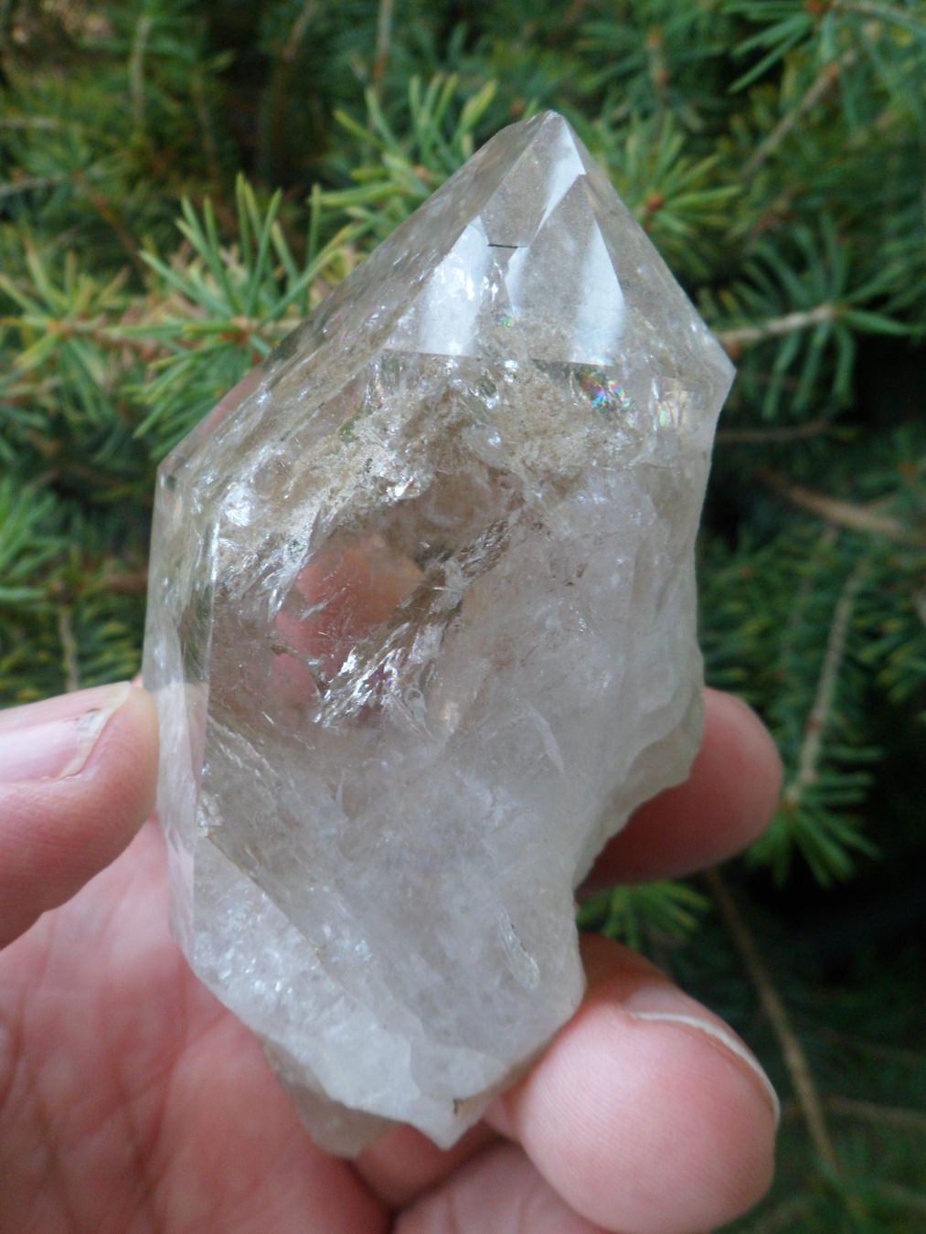 Minerali & Pietre curative: Bergkristall Schweiz 9 cm – Nuovo e nell'imballaggio originale da Affoltern am Albis venduto da Fossil60 4