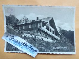 1935  1424 Cergnat sur Sépey Mont-Fleuri