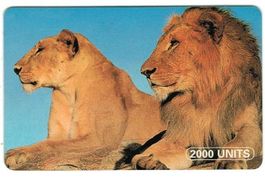 Telefonkarte Tanzania TAN-TT-03 Löwen