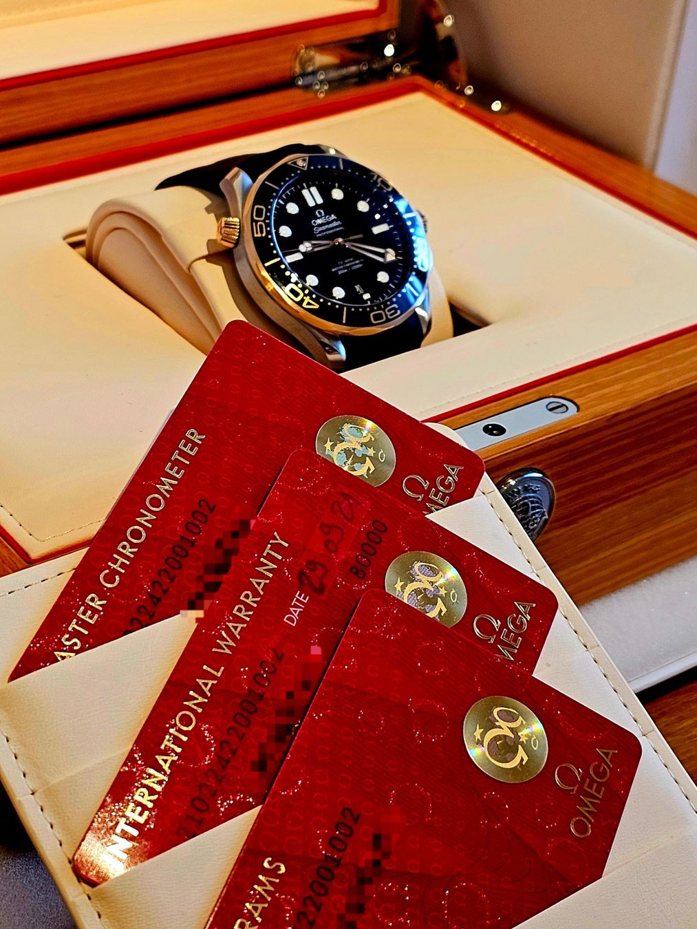 Omega Orologi: Omega Seamaster Diver 300 – Nuovo (secondo la descrizione) da Penthalaz venduto da benybeny11 1