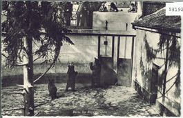 Bern - Im Bärengraben