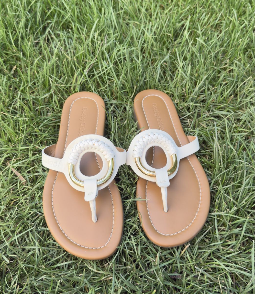 Chloé Damenschuhe: Chloé Sandalen – Gebraucht aus Bassersdorf von Bassi55