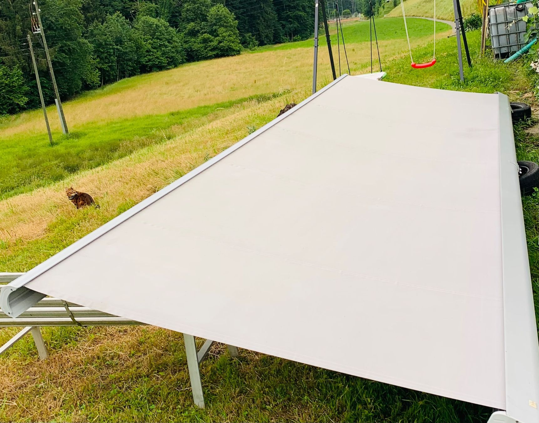 sprche handyhlle Lebensretter Handyhlle (Softcase)  Tierseelen