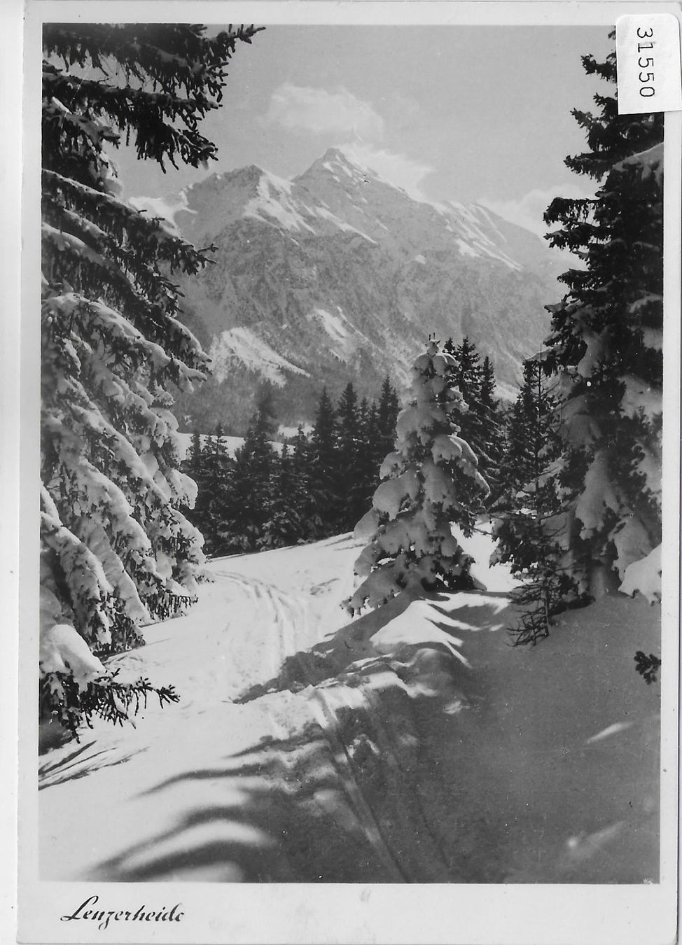Cartes postales: Lenzerheide - Winter-Wald – D'occasion à Ettingen par Kartenplanet