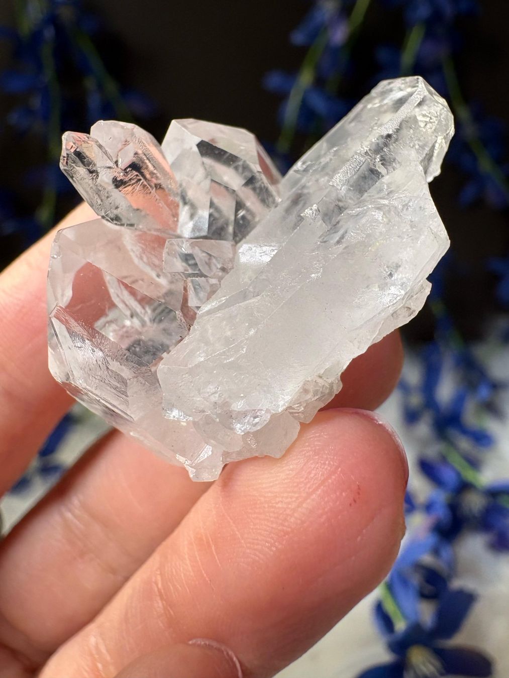 Minerali & Pietre curative: Lemurian-Quarz-Cluster – Nuovo (secondo la descrizione) da Neuheim venduto da m.hald 7