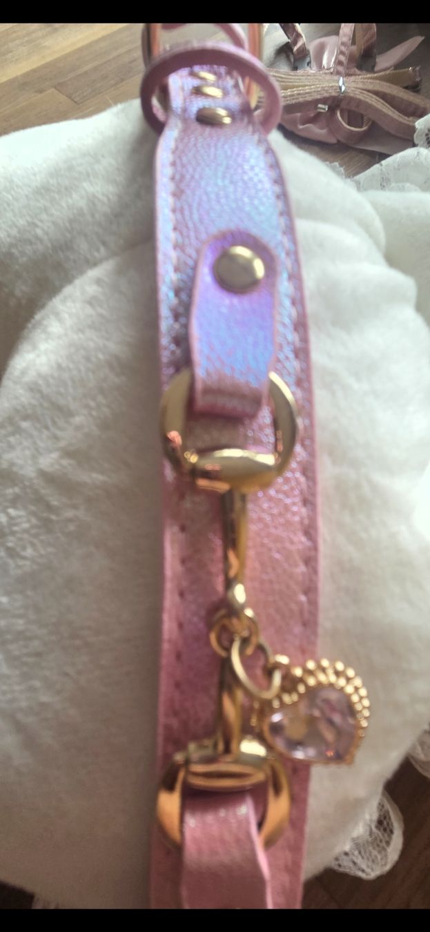 Leine & Halsband: Katzenhalsband  – Neu (gemäss Beschreibung) aus Bühler von ros_5qfr 6