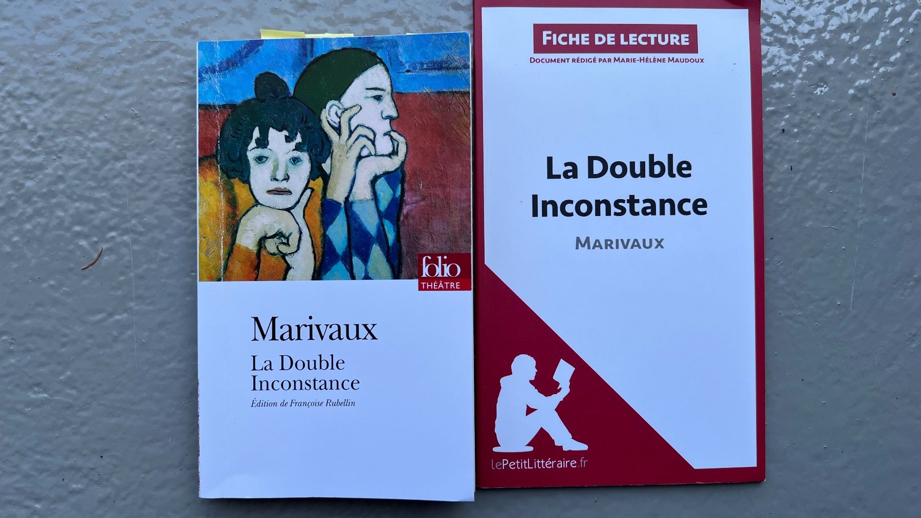 Livres: Le Double Inconstance – D'occasion à Ebmatingen par lwe_x6h5