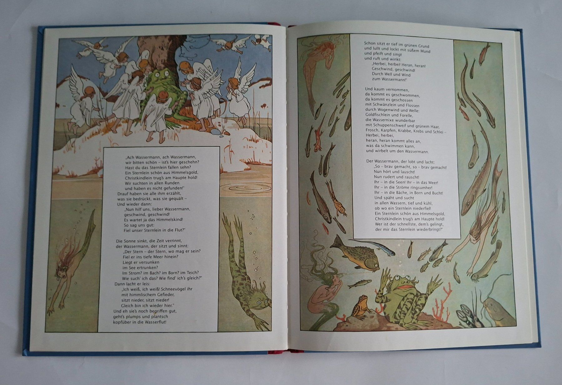 Bücher: Der Weihnachtsstern - Wintermärchen – Gebraucht aus Opfikon von Diversamente 3