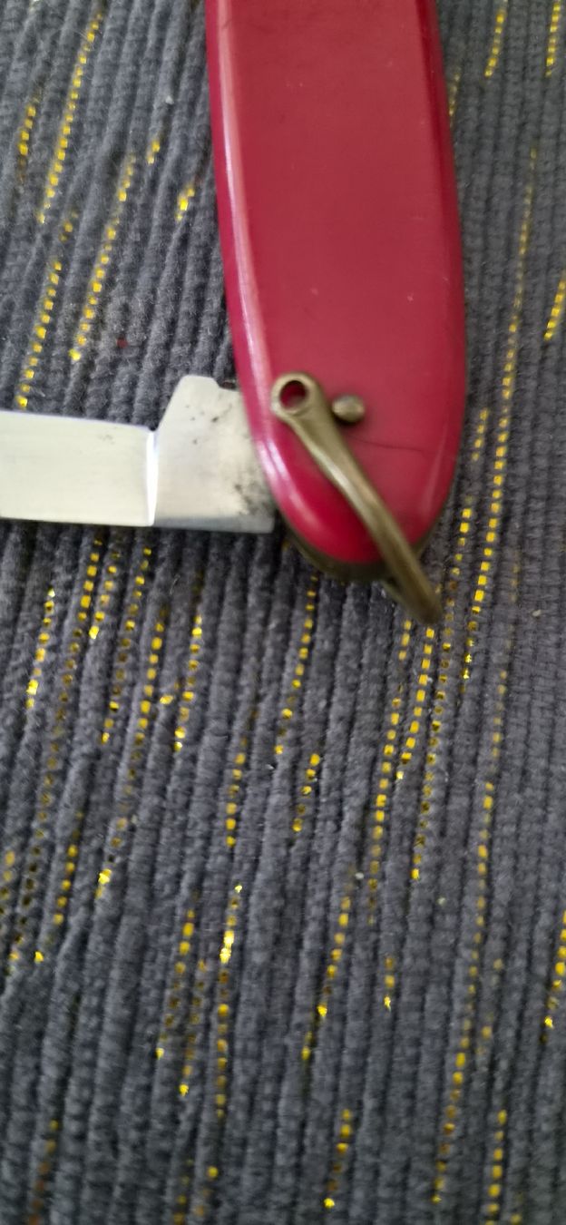 Victorinox Coltelli tascabile: Victorinox Victoria – Usato da Bern venduto da BullseyeCH 3