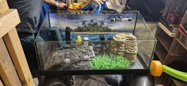 TERRARIUM AQUARIUM POUR TORTUES COMPLET AVEC ACCESSOIRES 