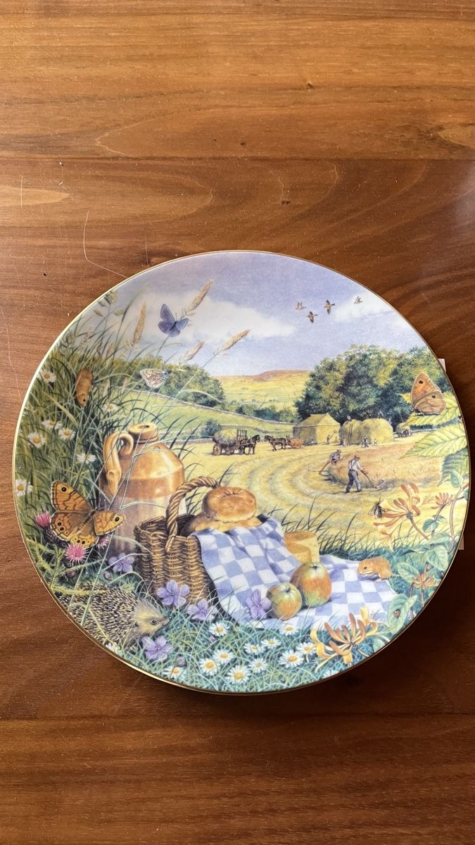 Tutte le decorazioni: Porzellanteller-Sammlung – Nuovo (secondo la descrizione) da Appenzell venduto da nana33 5