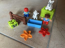 Lego Duplo Farm Figuren Tiere guter Zustand
