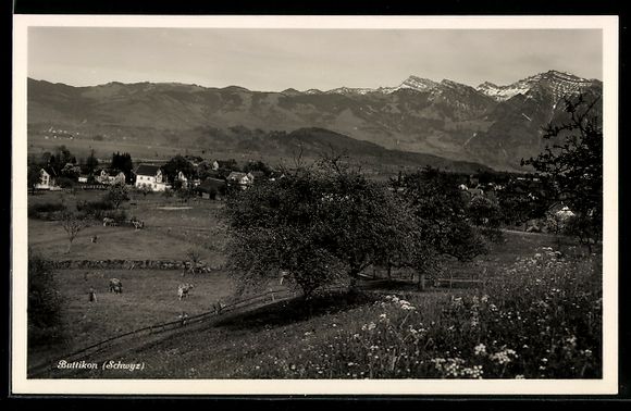 Cartoline postali: Buttikon, Ortsansicht mit Bergpanorama – Usato da Berlin venduto da bartko-reher