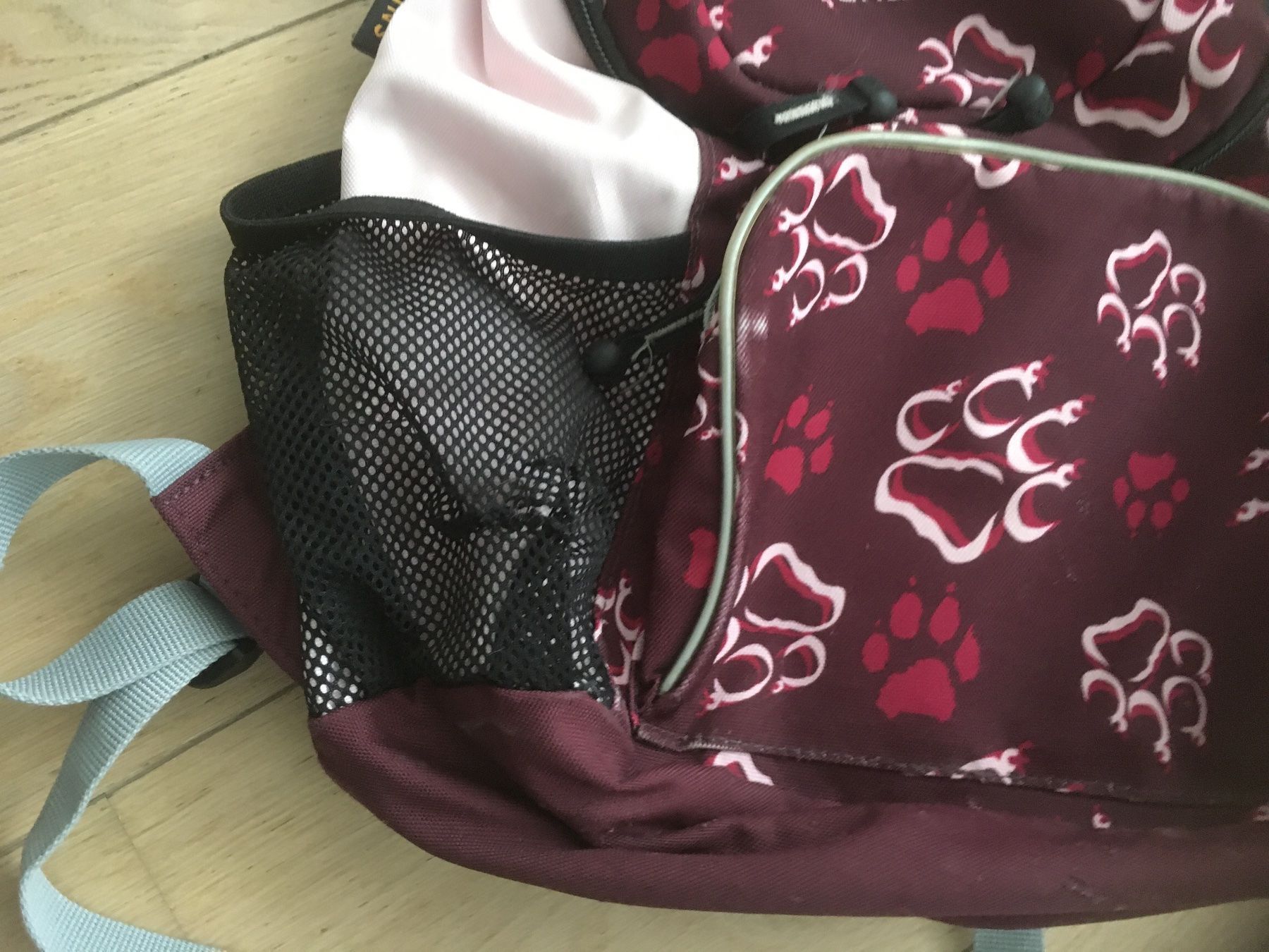 Jack Wolfskin Borse & Zaini: Jack Wolfskin Kinderrucksack – Usato da Gächlingen venduto da Tara_devi 4