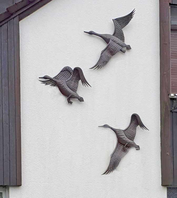 4x Mini Schildkröten Kupferplatten Für Vogelbad - Natürliche Algenverhütung Im Garten