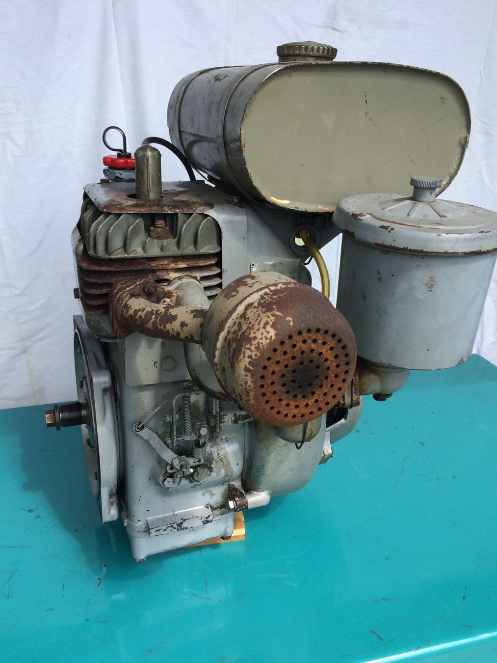 Motori: Mag Motor 1040 zu Rapid 505 – Usato da Wiliberg venduto da Monikaschaer