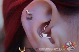Junipurr piercing Dachshund - Or 14k