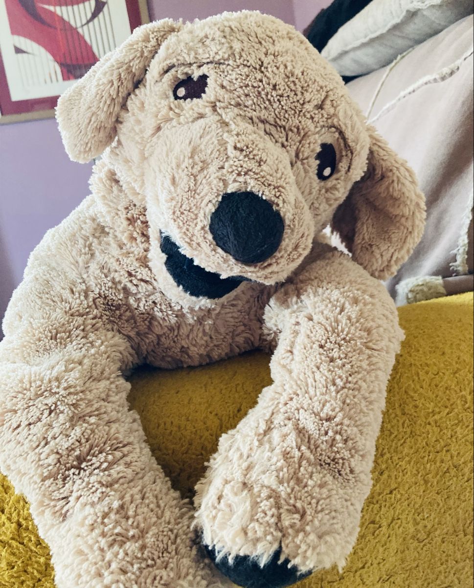 Ikea Giocattoli: Grande peluche chien tout doux – Nuovo (secondo la descrizione) da Ardon venduto da hel_2sxp 1