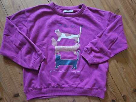 Pulli 128-140 Sfera Katzen