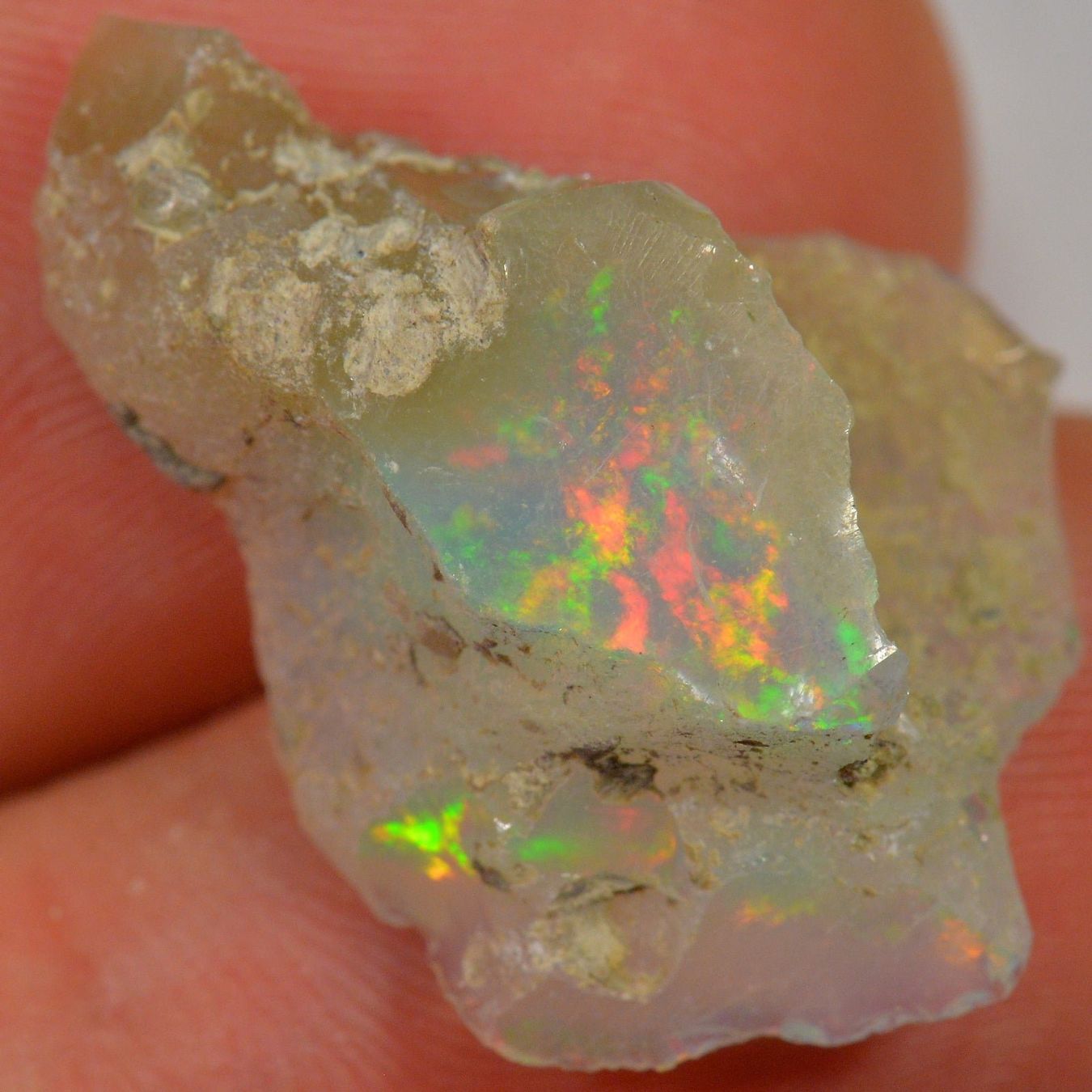 Pietre preziose: 12.9 Karat - Roher Äthiopischer Welo Opal – Nuovo (secondo la descrizione) da Rüti ZH venduto da DeinOpal 2