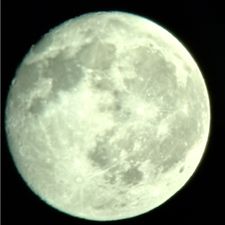 Profile image of jay81a
