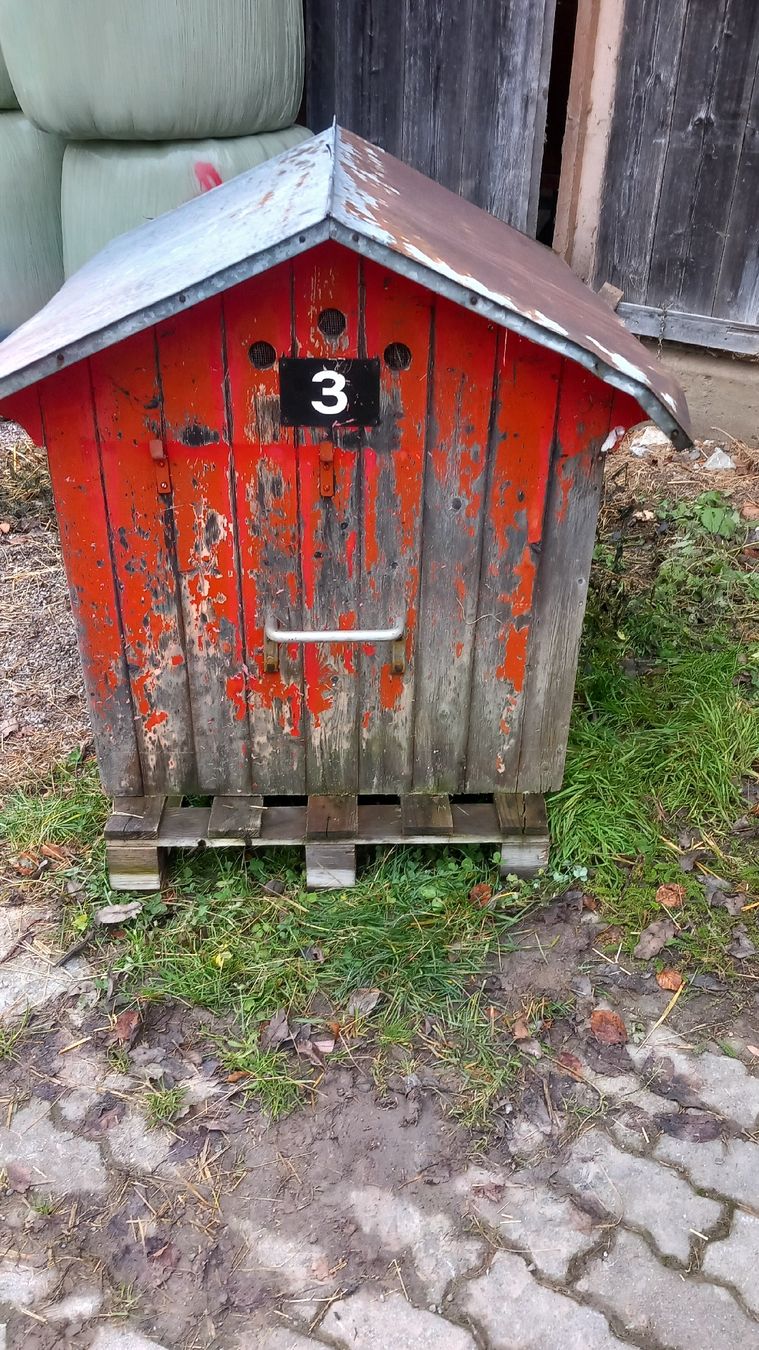 Cucce & Letti: Hundehütte  ,  Hasenstall  ? – Difettoso da Burgistein venduto da pender 2