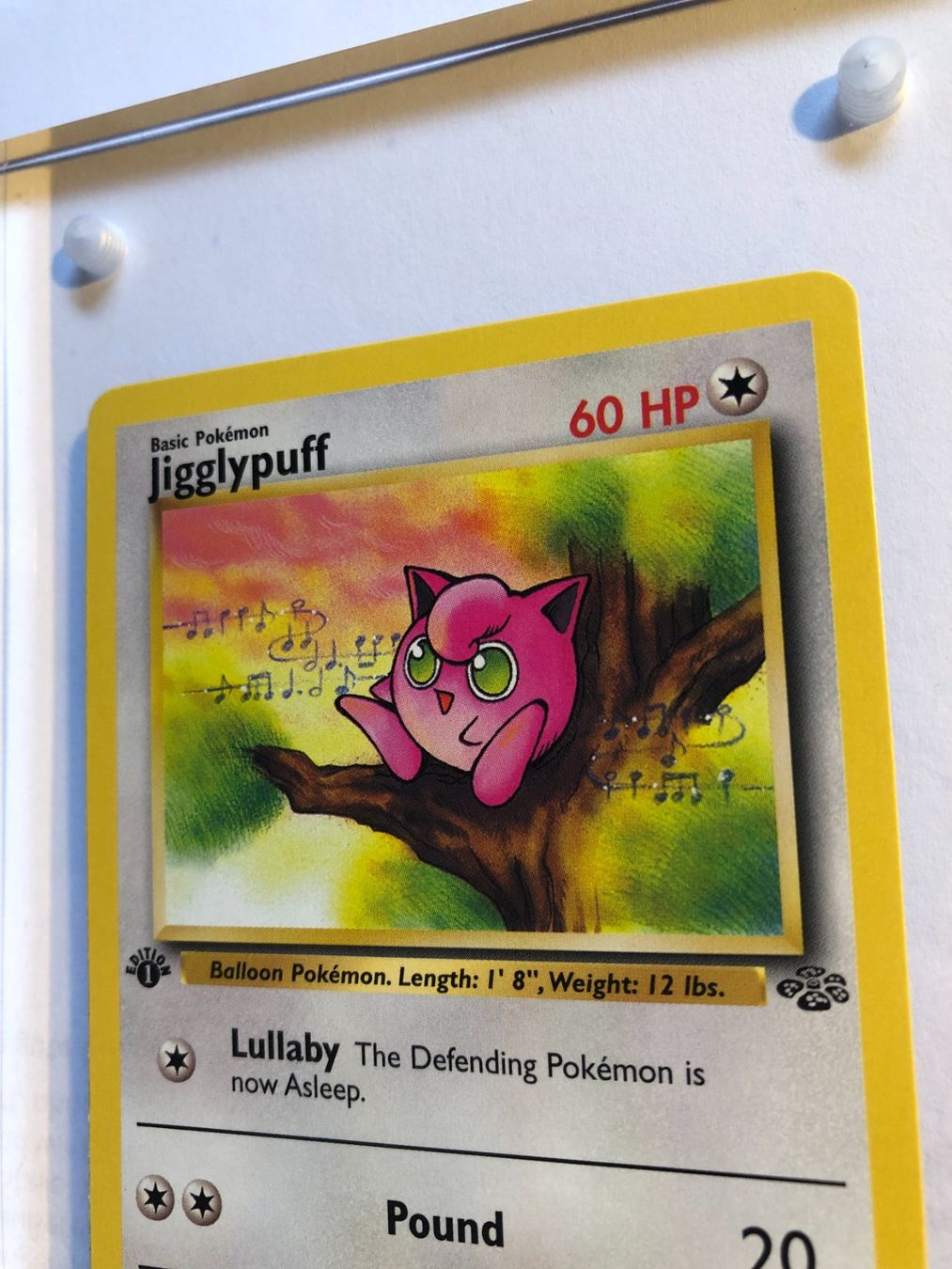 Sammelbilder & Trading cards: Jigglypuff 1st Jungle - MINT - ab 1.- – Gebraucht aus Giubiasco von dan_pr8b 3