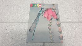 Junior 7 (Juli 1981)