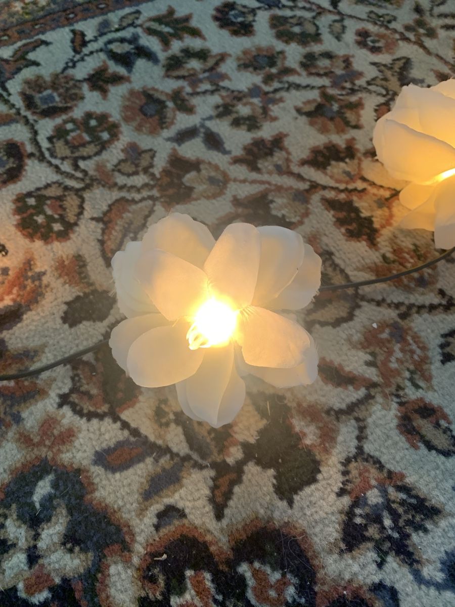 Ghirlande e barre luminose: Lichterkette – Usato da Brugg AG venduto da Simone92 5